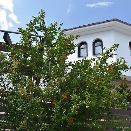 Miléai Karpofora Traditional Guesthouse מראה חיצוני תמונה